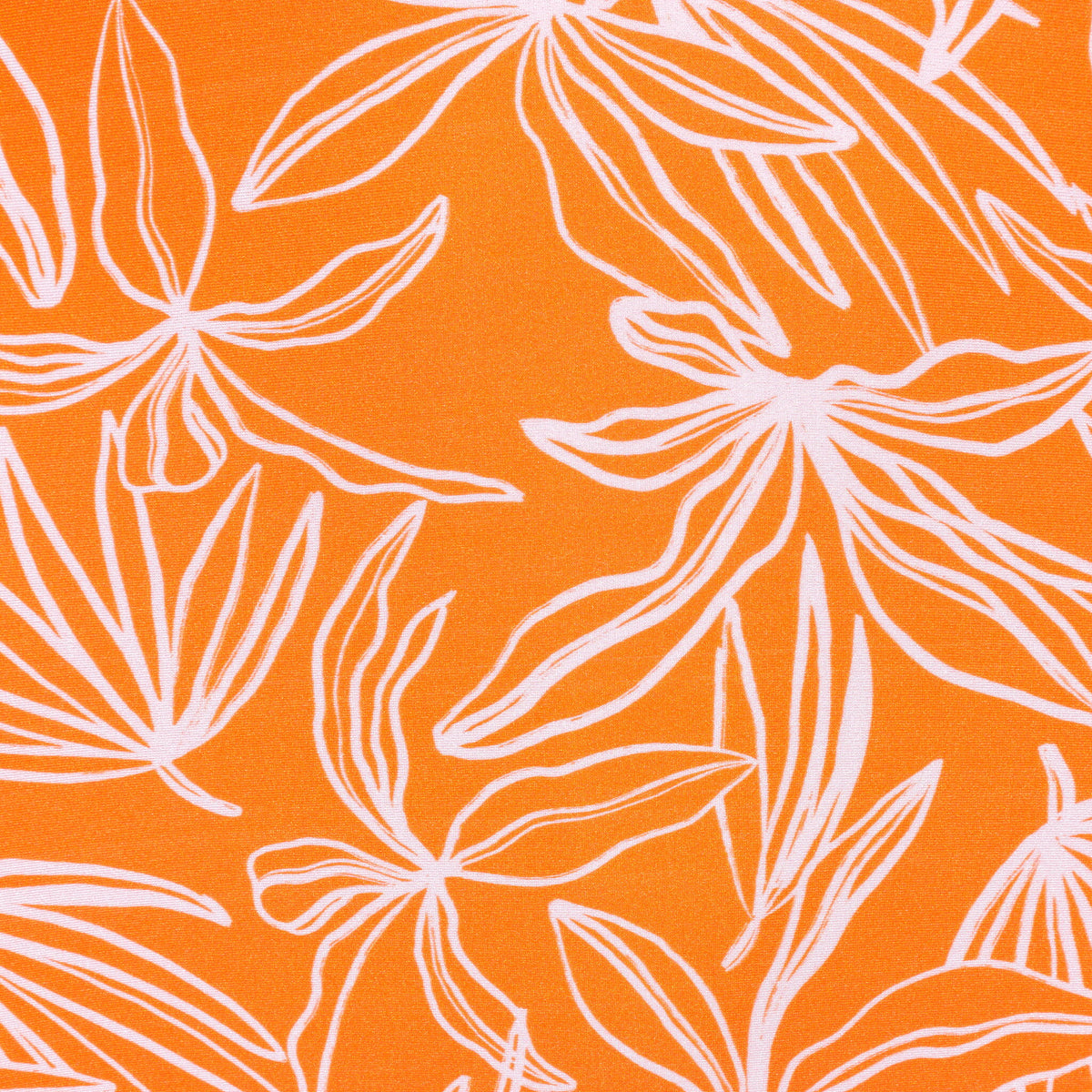 Image 06: Rio De Sol Bikini Bottoms Bottom Trail-Orange Baobi-Cheeky